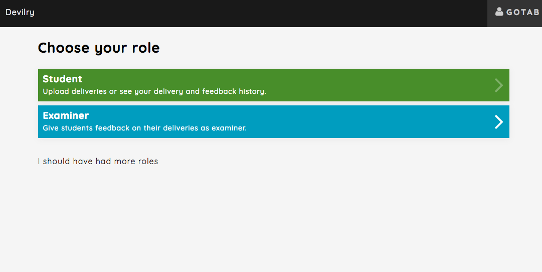 ../../_images/examiner-roleselect-overview.png